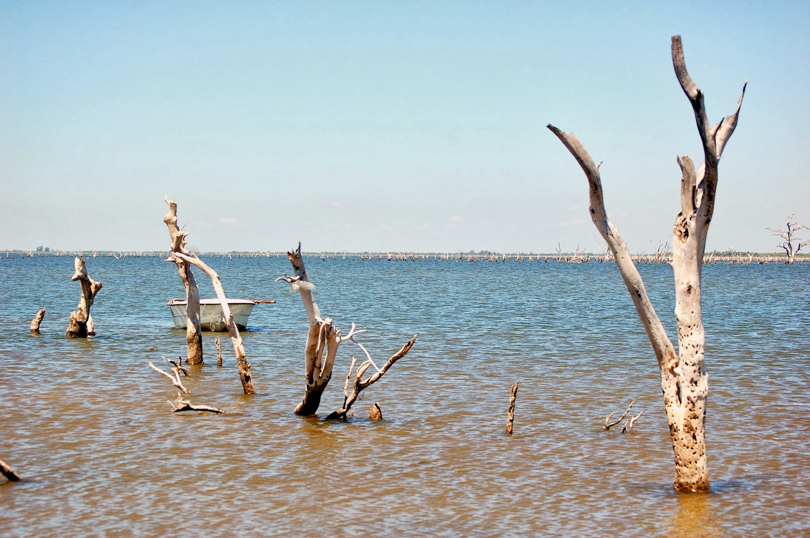 Pinceladas LAGUNA MAR CHIQUITA CORDOBA ARGENTINA
