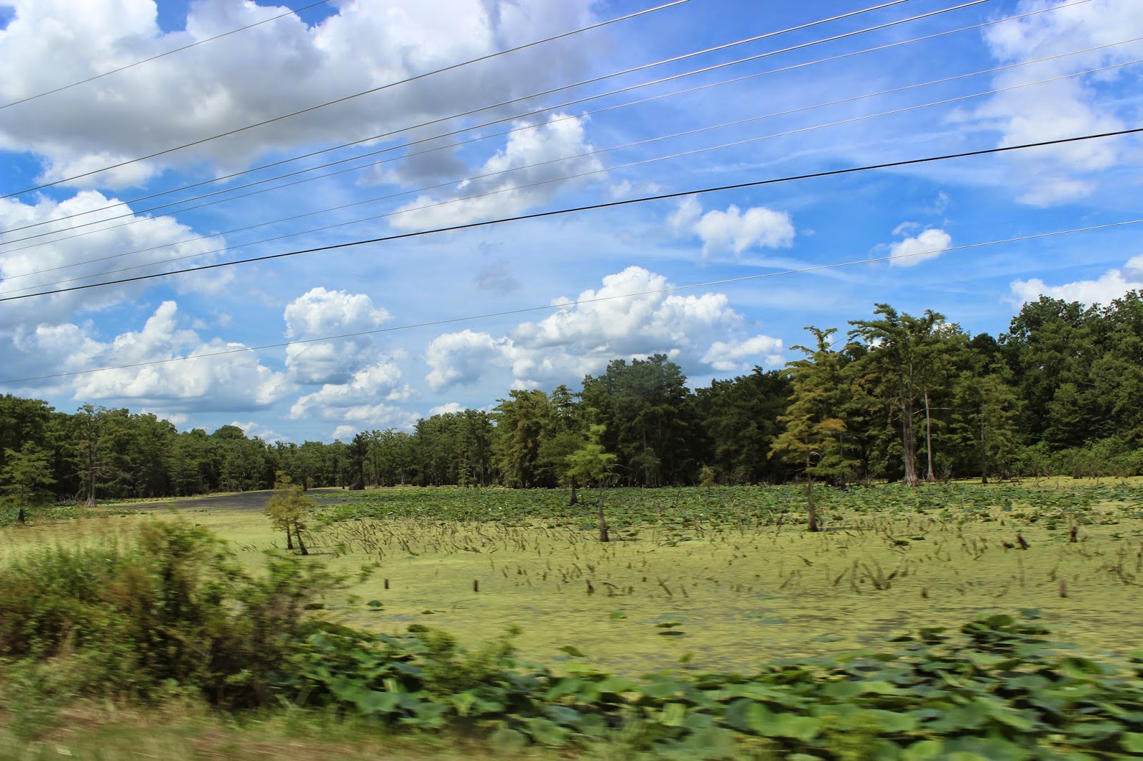 And So it Goes in Shreveport Take a Trip to Coushatta, See the Lawnmower Man, and a Crop Duster