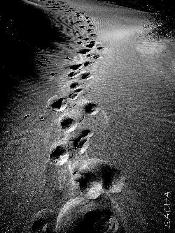 Dunes de Faraman