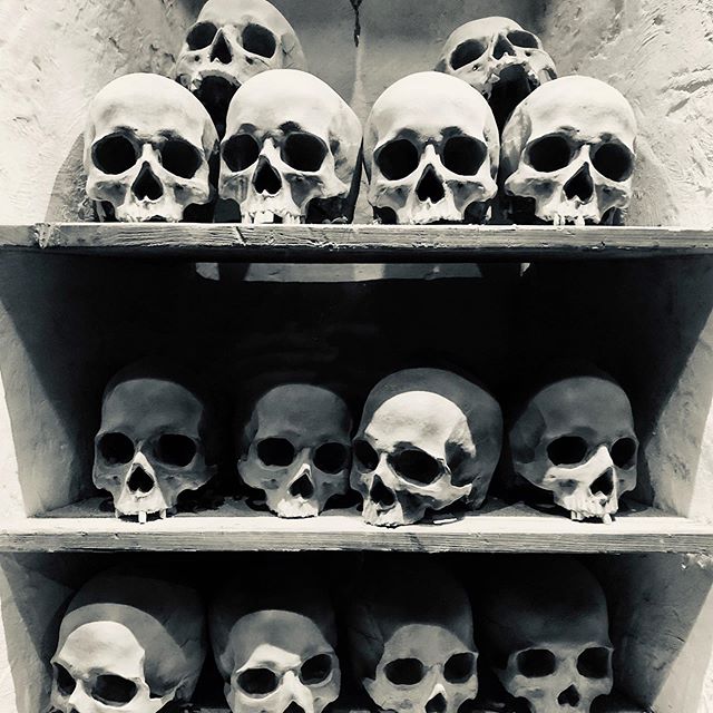 صور جماجم خلفيات جماجم hd موقع موسوعتى