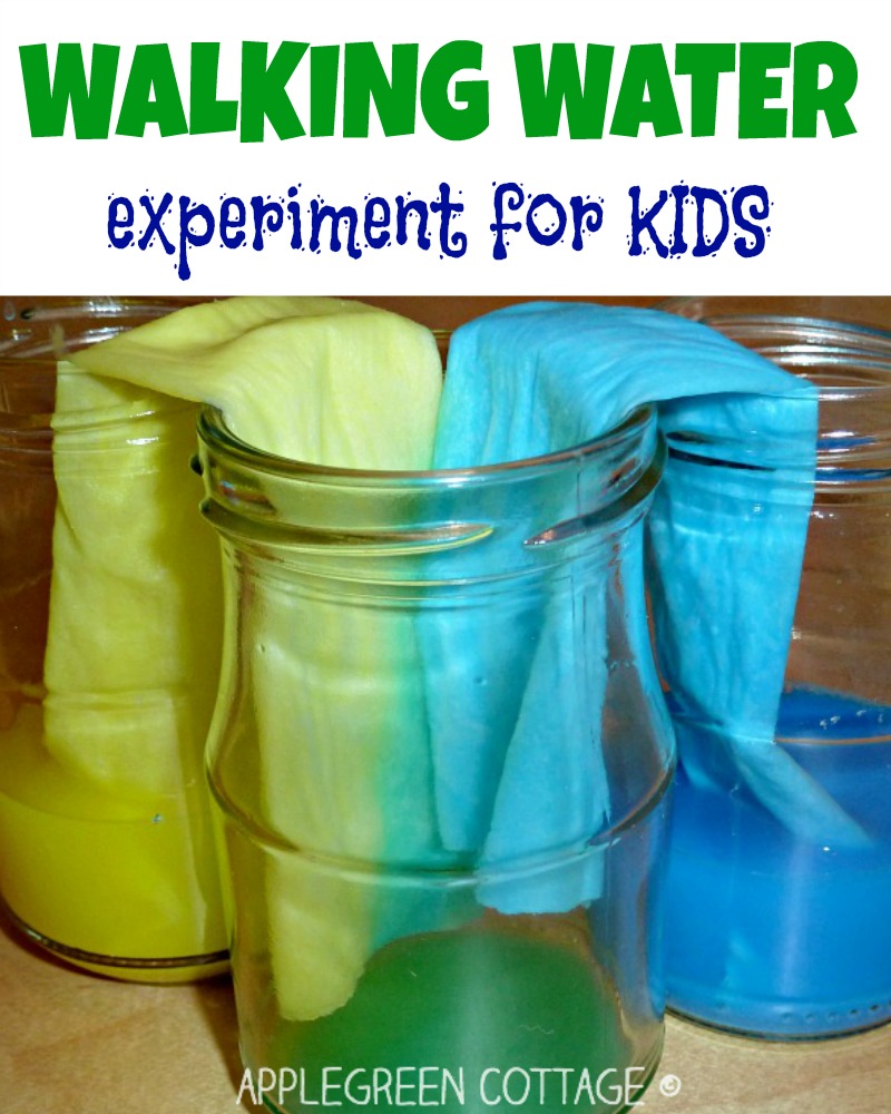 Walking Water Experiment Explanation