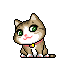 Animasi Kucing Lucu