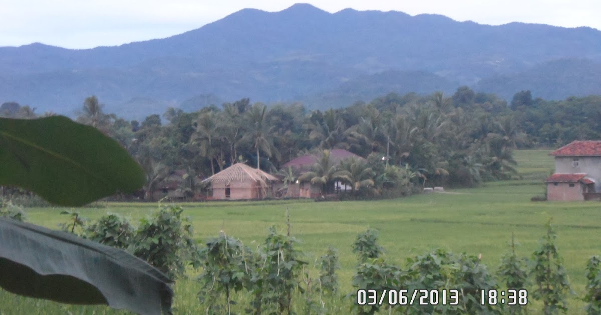 Panorama Alam Pedesaan Sekitar Ciminyak