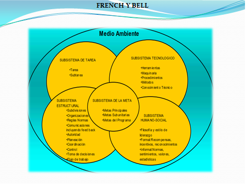 Diagnostico Organizacional: modelo de diagnóstico organizacional de French  y Bell