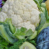 Learn About Some of the Important Natural Ways to Boost Your Immune System