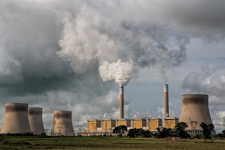 pencemaran udara menyebabkan hilangnya keanekaragaman hayati