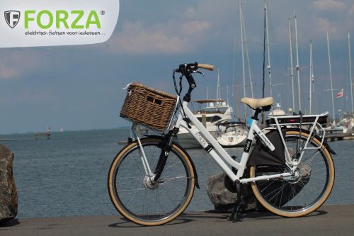 Ontmoedigd zijn Vervullen De neiging hebben Forza fietsen | FIETSEN 2023