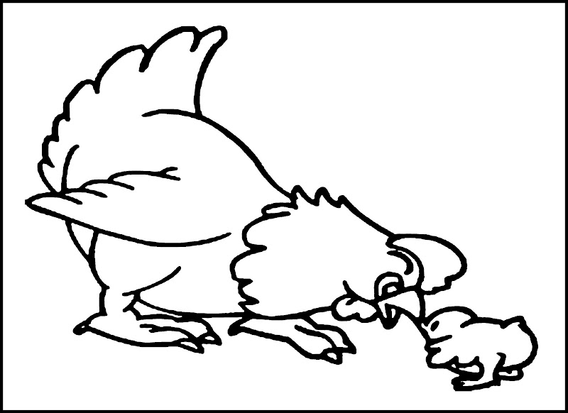 Right click the Chicken Coloring pages / pictures and select 