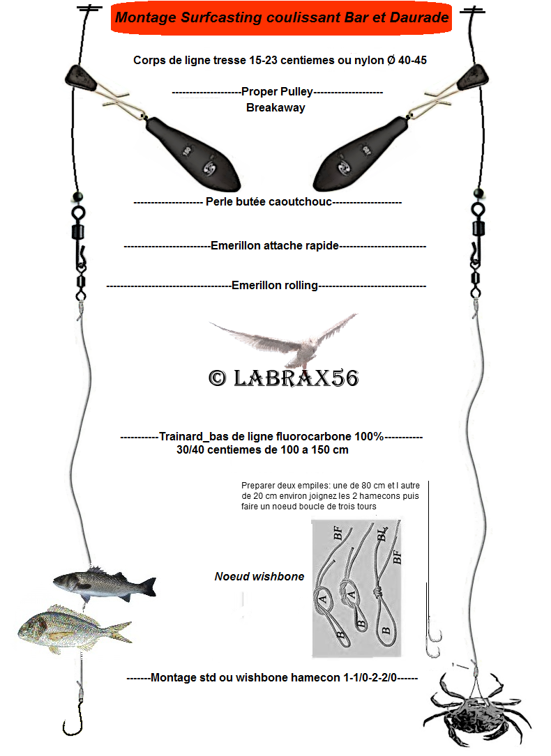 Montage daurade surfcasting clearance