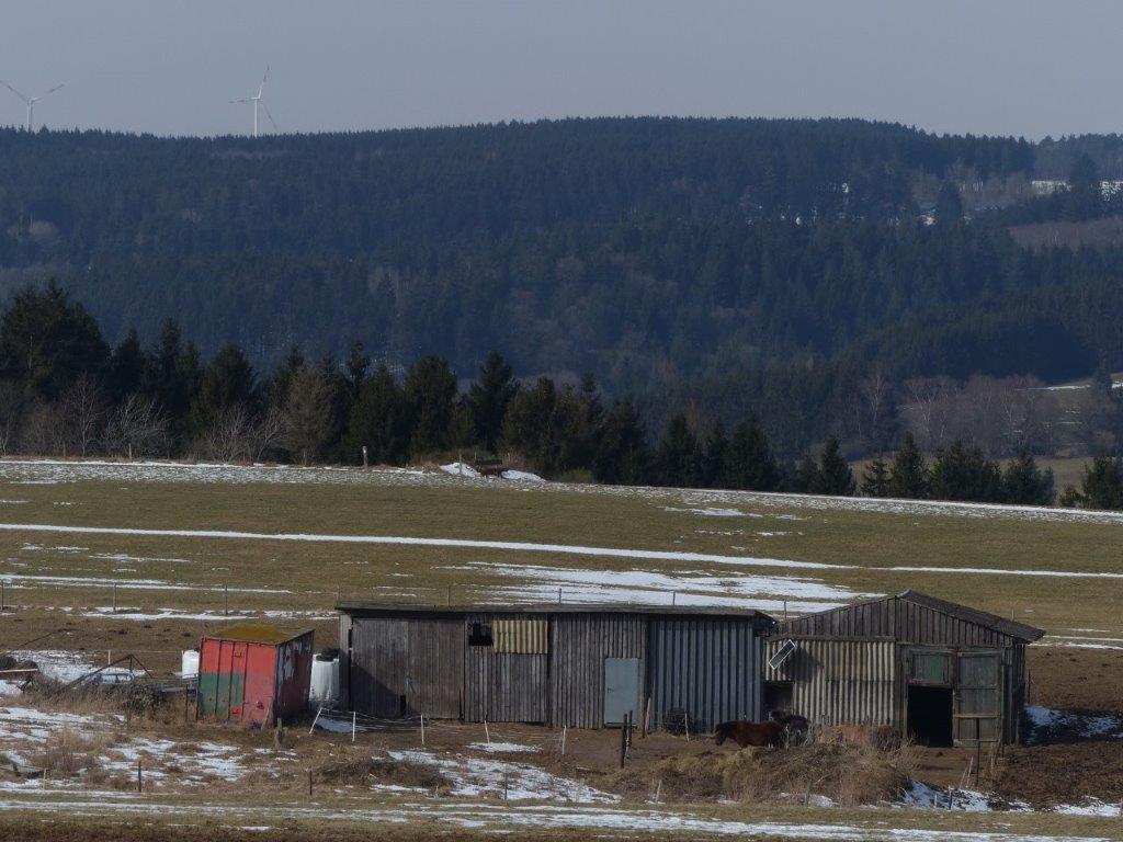 Traumpfad Wolfsdelle Traumpfade Rhein Mosel Eifel