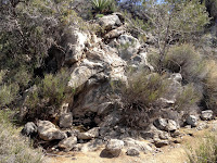 Black Rock Spring on Black Rock Canyon Trail, Joshua Tree National Park