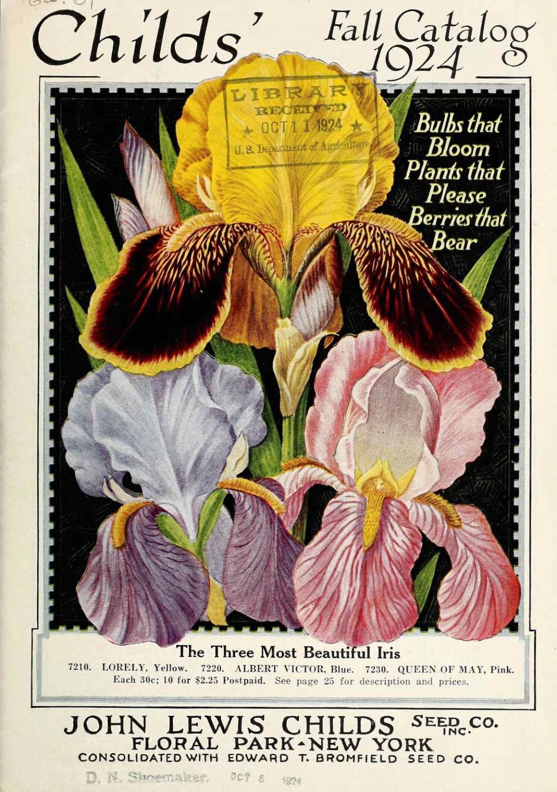 Tenth Letter of the Alphabet Lettering John Lewis Childs’ Catalogs