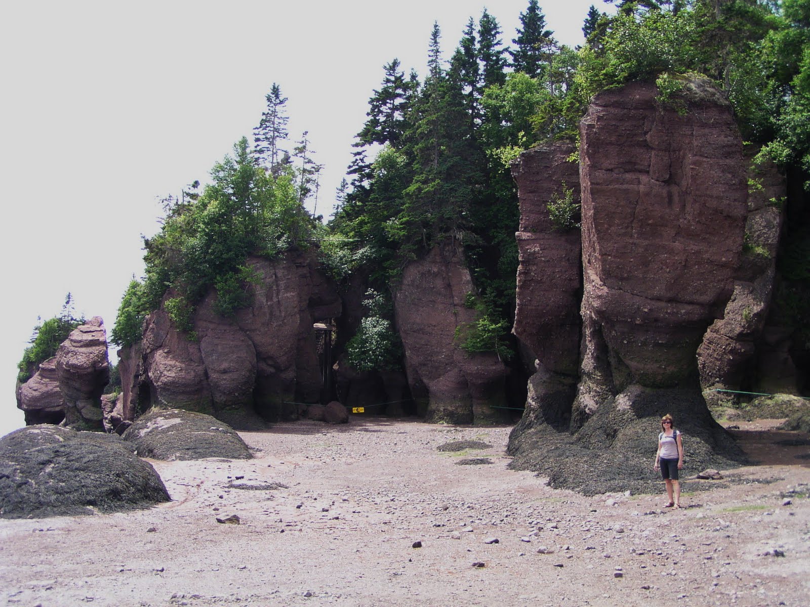 Travel with Kevin and Ruth RiversideAlbert, New Brunswick