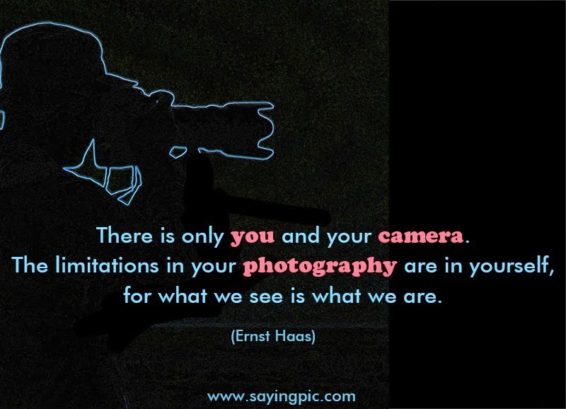 11 Great Photography Quotes and Saying to Inspire You. ~ Pictures