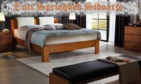 Cuci Springbed Sidoarjo Cuci Springbed Sidoarjo Tlp 081270009011