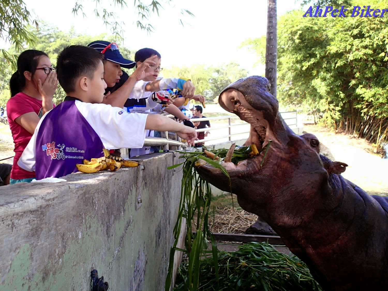 AhPek Biker Old Dog Rides Again Selangor Hippo 4 Paya Indah