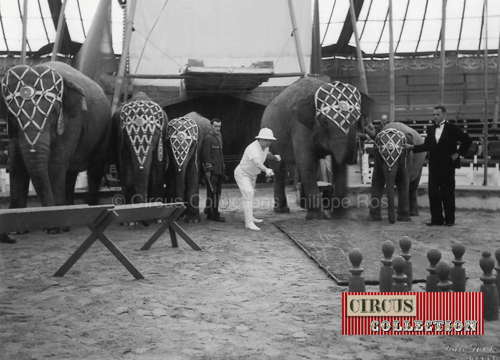 les éléphants jouent aux quilles dans la piste du Cirque Knie