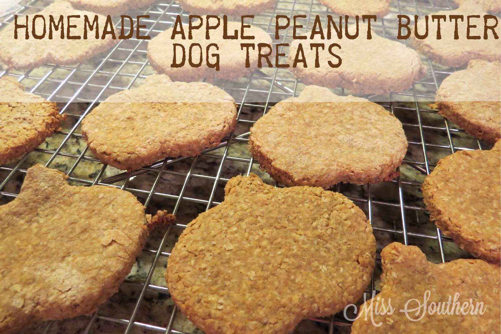 Homemade Apple Peanut Butter Dog Treats