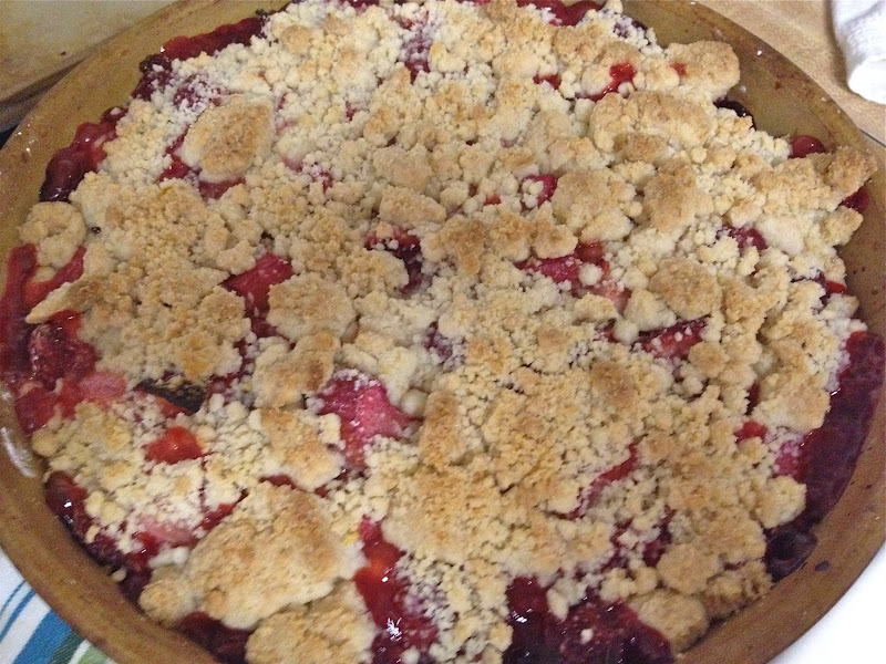 Auntie Caitlin's Creations: Fresh Plum Crumb Bake