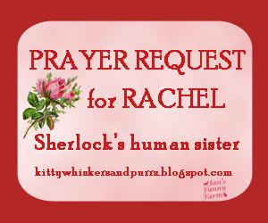 Prayers for Rachel