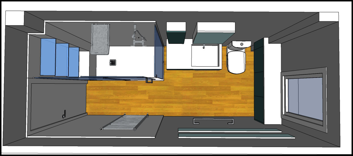 Los hogares que habitamos: Proyecto:"Baño Mª Carmen. Solución Azul