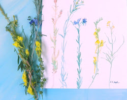 wildflowers watercolor elise engh studios watercolors labels fine email