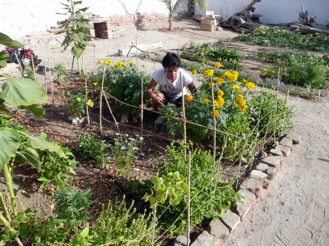 noviembre 2011 | Ecology Project International