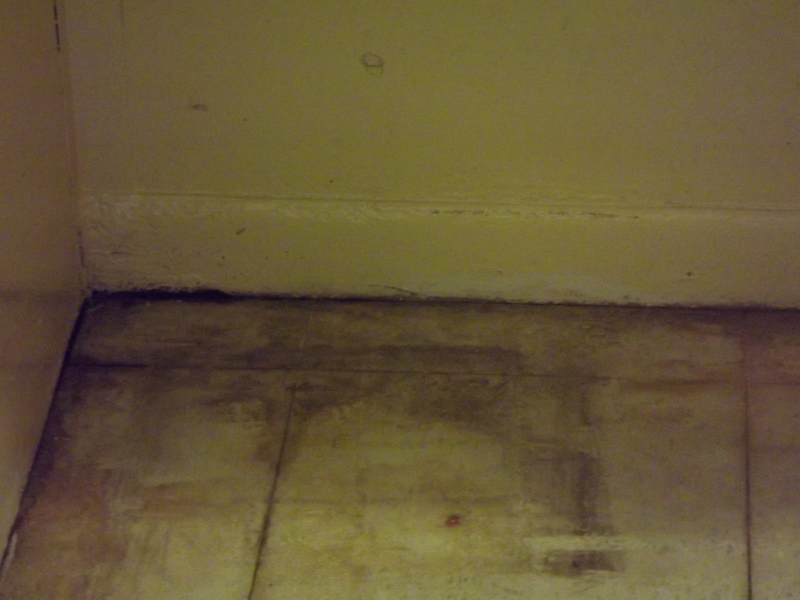 Community Access 1st I.T.A.N.Y.C. Gouverneur Court, under Community