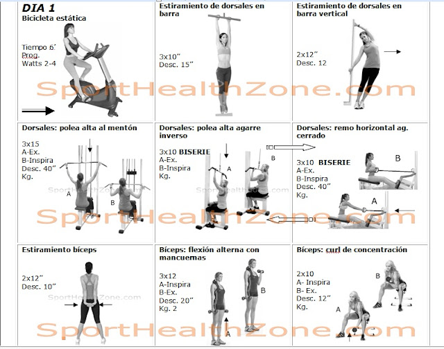 Kilos Mejores Ejercicios Para Bajar De Peso Hacer Cardio Mejores