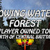 Flowing Waters Forest, A Player Owned Town North Of Brittany