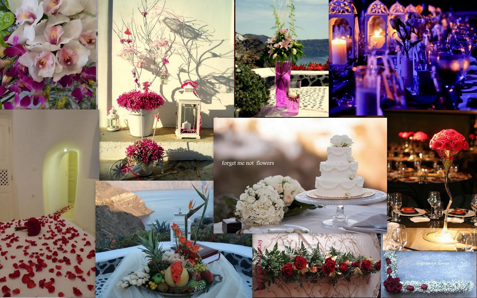 Santorini tours guided by Martina Somers ME NOT.FLOWER SHOP