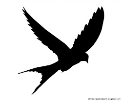 bird silhouette flying stencils outline amazing