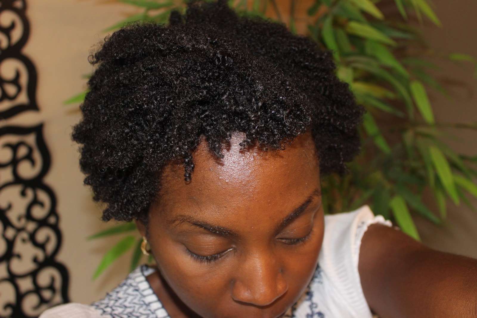 how-to-maintain-your-wash-n-go-on-4c-hair-for-2-weeks-youtube