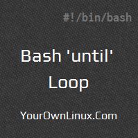 bash-until-loop