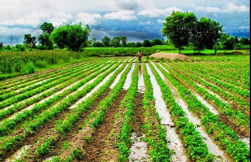 Punjabi PUNJABI village photos