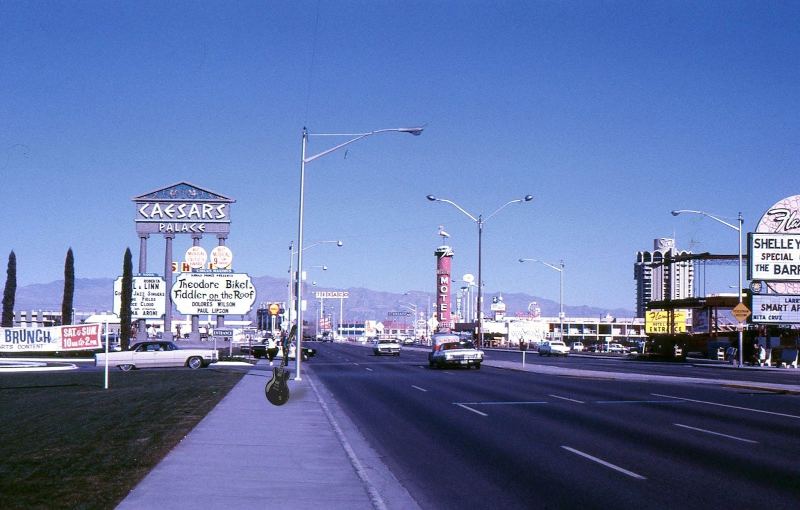 Forestdweller Las Vegas
