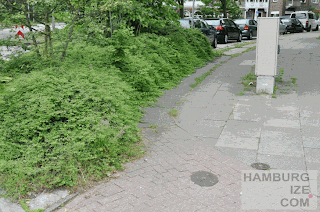 Erdkampsweg - Brombeerweg - unbenutzbarer Fake-"Radweg" © hamburgize.com / Stefan Warda