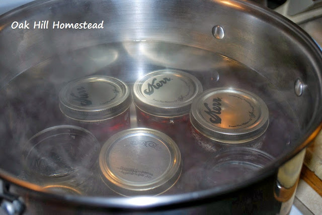 Place the filled jars of apple jelly in the canner. Allow one inch of water above the tops of the jars.