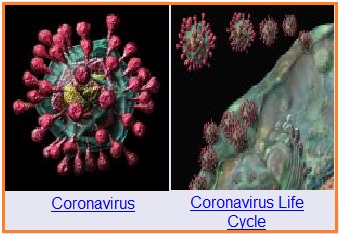 вирус вич. Rna viruses. ретровирусы строение вириона. рнк вирусы. жизненный цикл рнк вирусов.