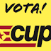 VOTA CUP!!!