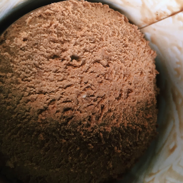 Halo Top Chocolate Mocha Chip Ice Cream