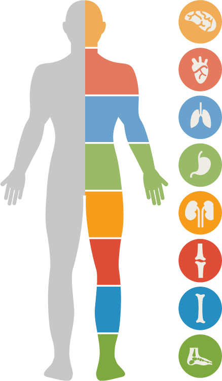 essential nutrients for our body essential nutriants
