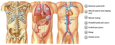 Penyebab, Gejala & Cara Mengatasi Akibat Sering Sakit Dada Penyebab, Gejala & Cara Mengatasi Akibat Sering Sakit Dada