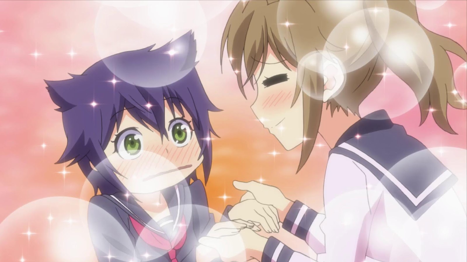 Get 5 Characters Anime Who Likes Cats Tsubetewa Free HD Wallpaper 5 Characters Anime Who Likes Cats Tsubetewa HD