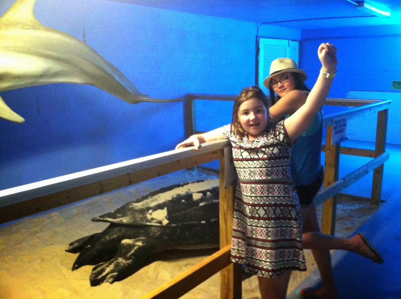 Clearwater Beach Marine Aquarium Museum - Adventures of Kids Creative Chaos