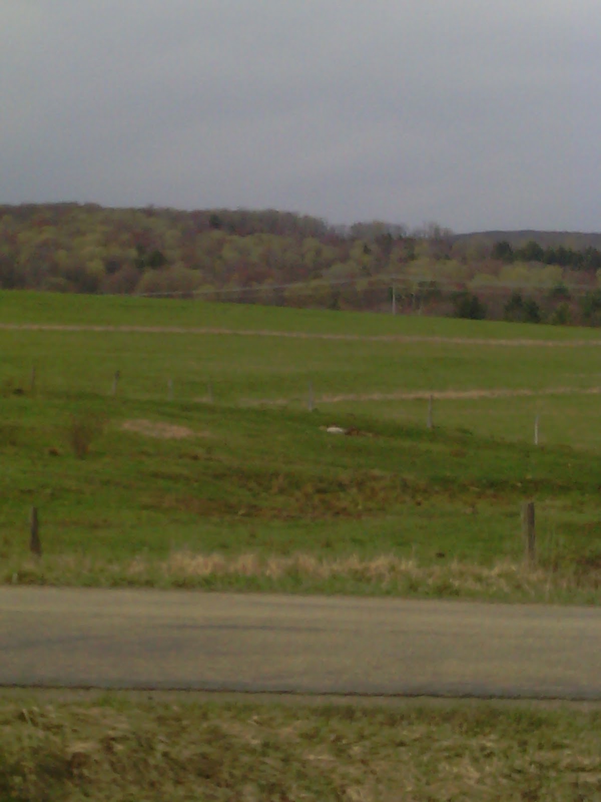 Trailer Park Trilogy Mountain View