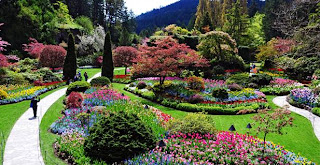 Entre Plantas Viajes: Detalle Viaje Jardines de New York y Chicago 2013