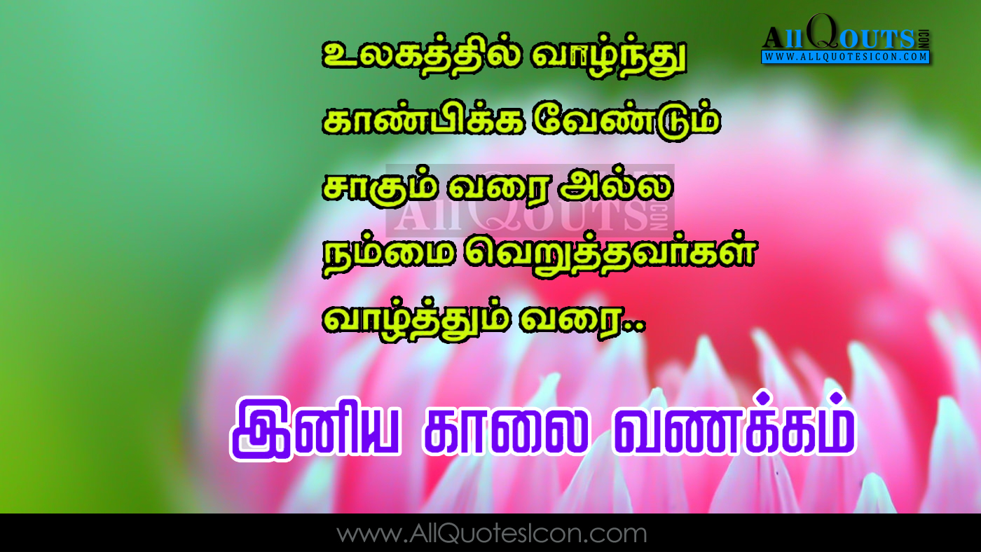 Featured image of post Tamil Quotes In English Words / Here you can find the translation of the 50 most important words and expressions into tamil.