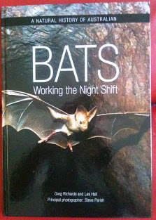 Bats Working the Night Shift