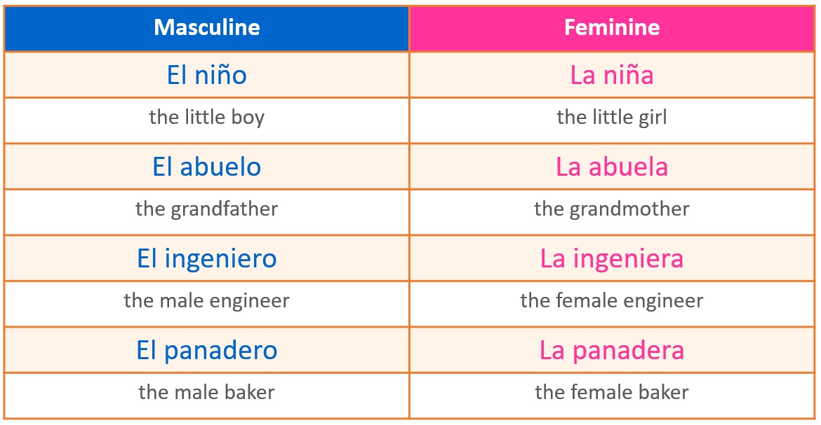 Spanish Noun Gender